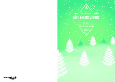 Voeux_105x15014