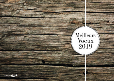 Voeux_105x15016