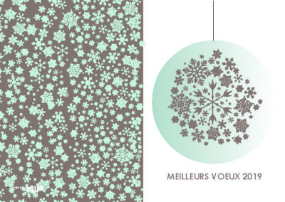 Voeux_105x15018