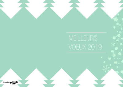 Voeux_105x15019