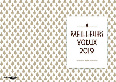 Voeux_105x15030
