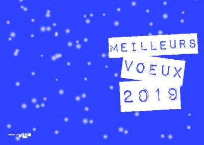 Voeux_105x15033