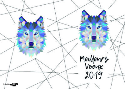 Voeux_105x15034