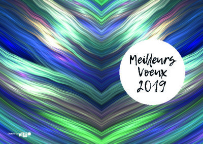 Voeux_105x15035
