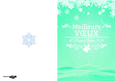 Voeux_105x1504