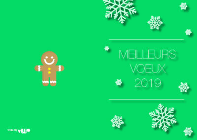 Voeux_105x1506