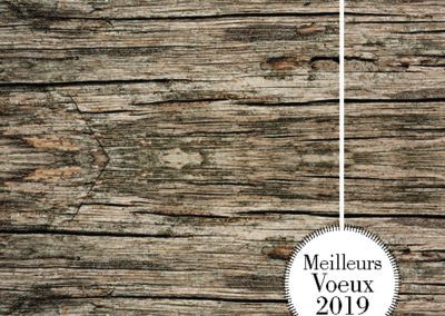 Voeux_210x10512