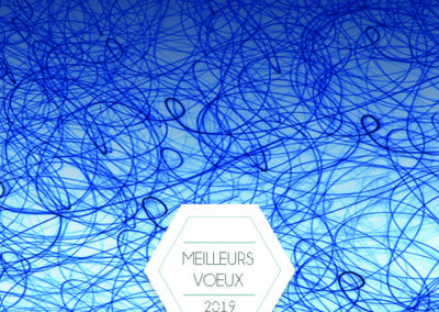 Voeux_210x10513