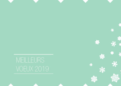 Voeux_210x10515