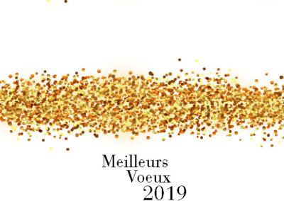 Voeux_210x10524