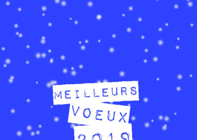 Voeux_210x10529