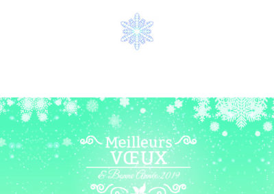 Voeux_210x1053