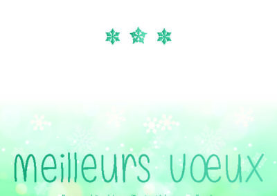Voeux_210x10536