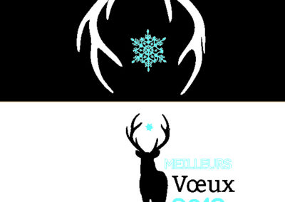 Voeux_210x10542