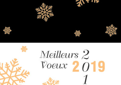 Voeux_210x1058