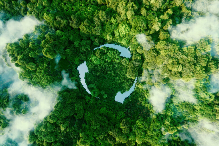 Forêt avec le symbole du recyclage