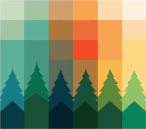 Forêt-dégradé-camaïeu