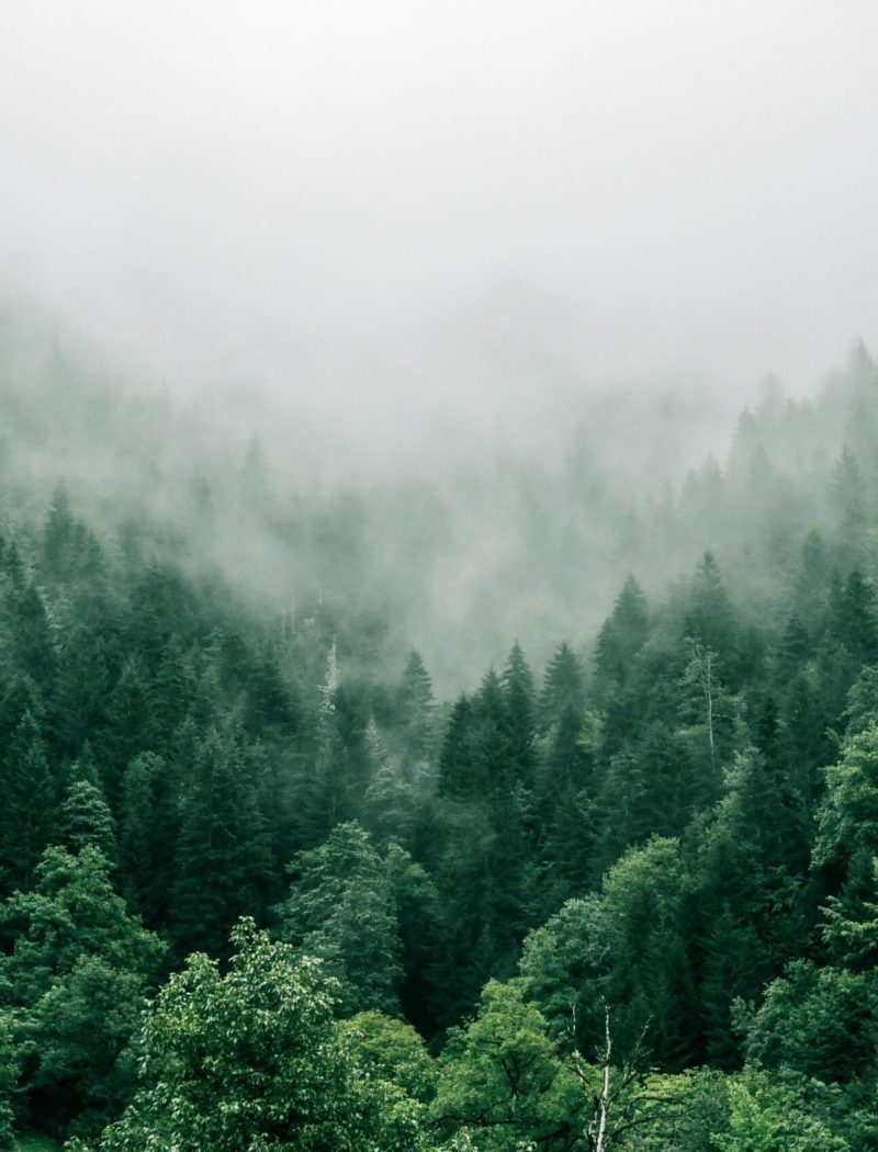 marita-kavelashvili-ugnrXk1129g-unsplash